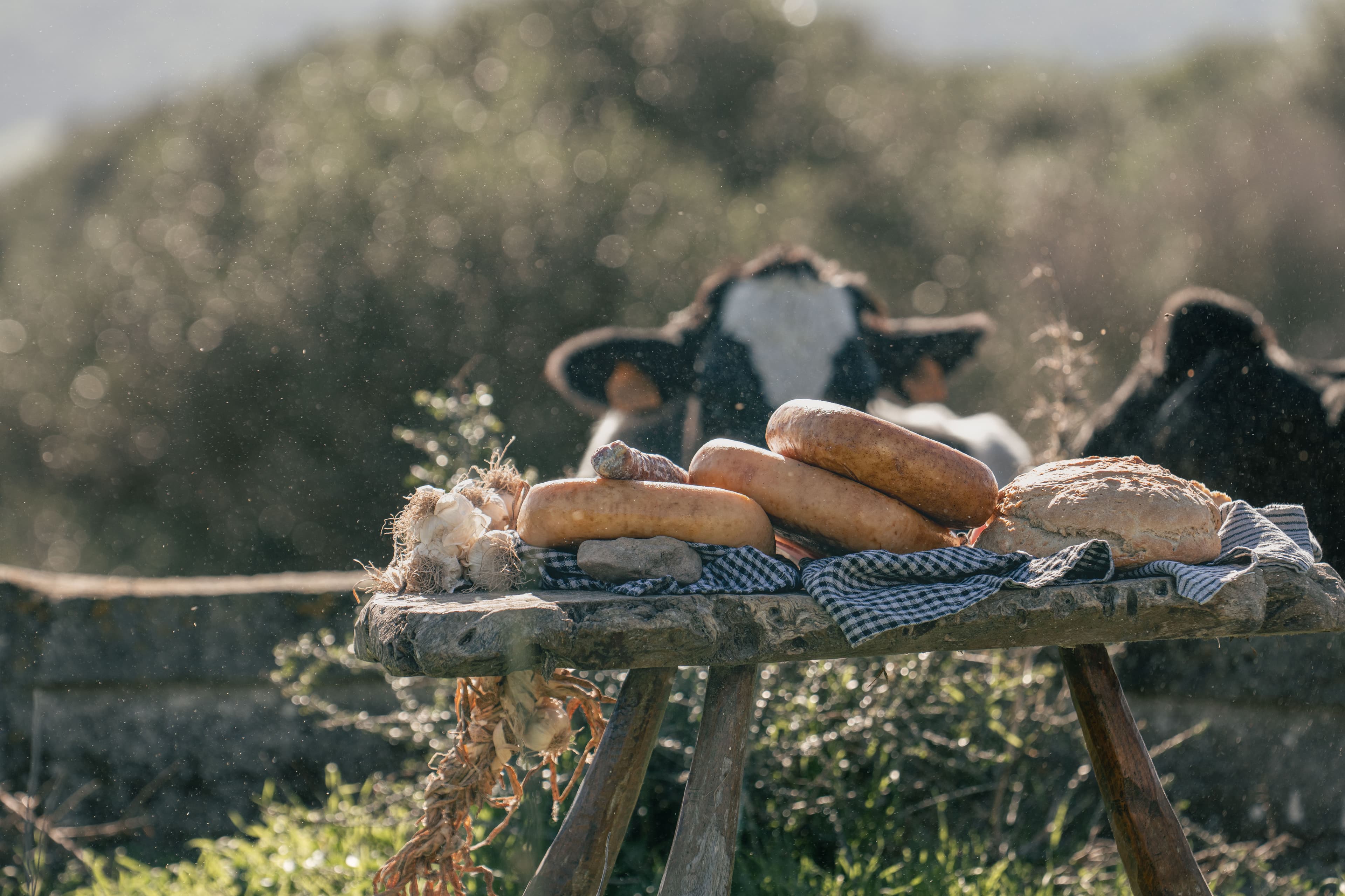 Mesa de quesos con una vaca al fondo